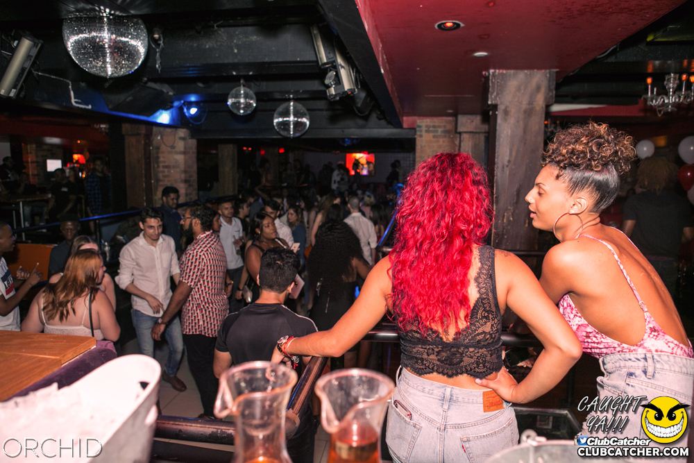 Orchid nightclub photo 103 - June 29th, 2019
