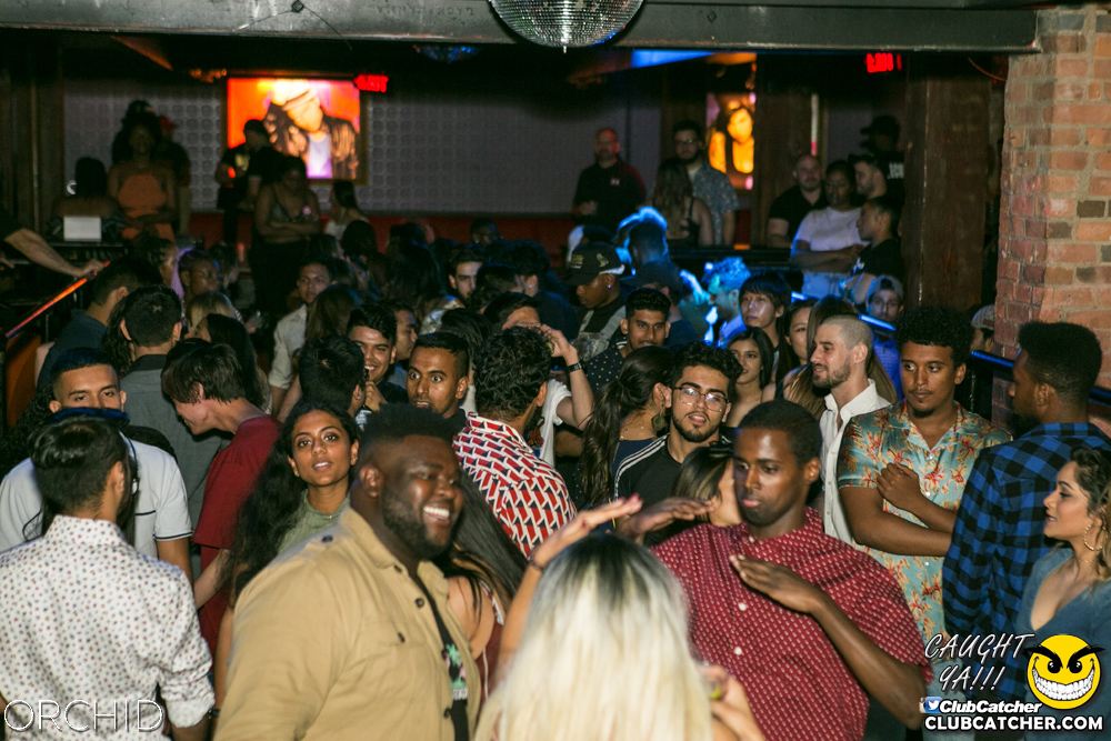 Orchid nightclub photo 104 - June 29th, 2019