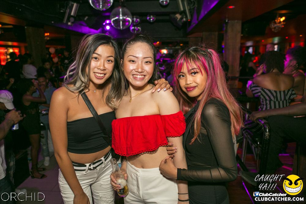 Orchid nightclub photo 107 - June 29th, 2019
