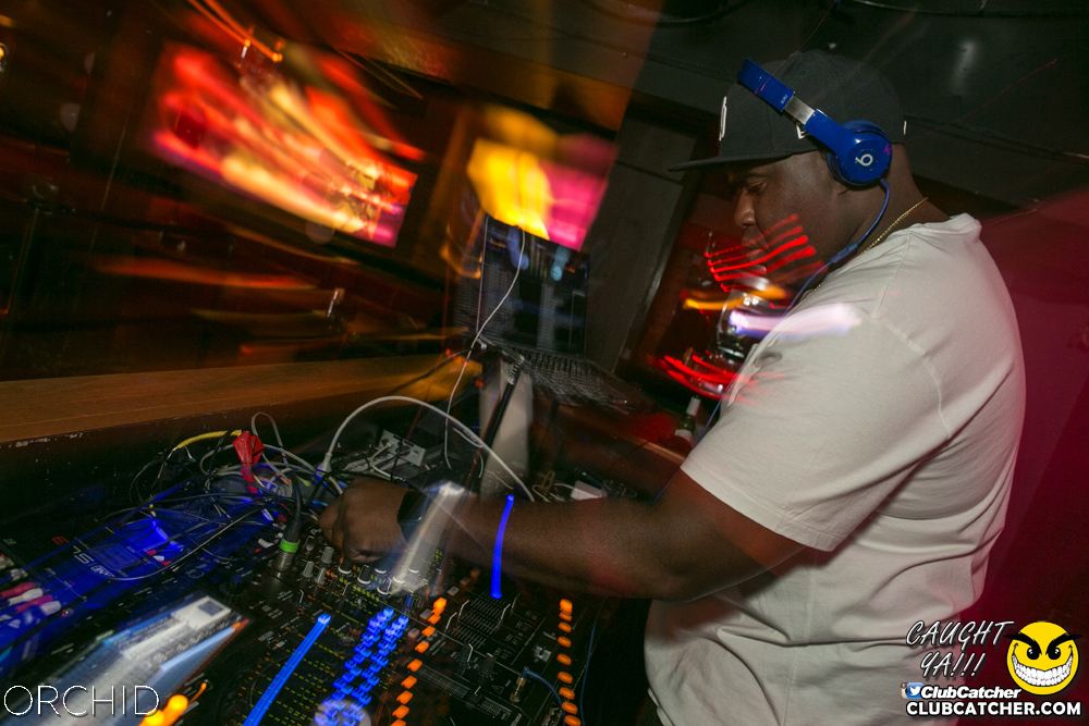 Orchid nightclub photo 108 - June 29th, 2019