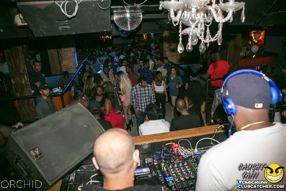 Orchid nightclub photo 109 - June 29th, 2019