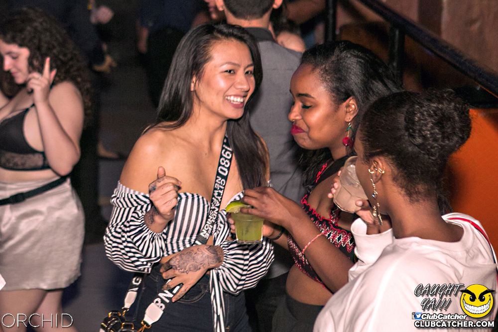 Orchid nightclub photo 116 - June 29th, 2019