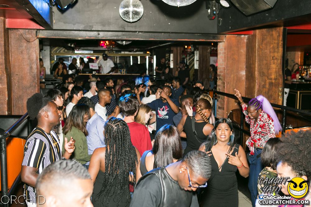 Orchid nightclub photo 121 - June 29th, 2019