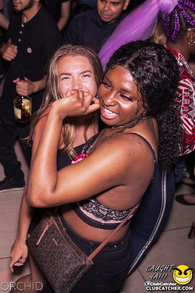 Orchid nightclub photo 122 - June 29th, 2019