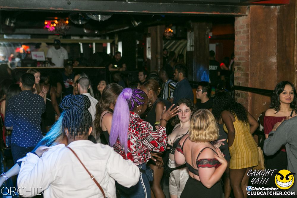 Orchid nightclub photo 128 - June 29th, 2019