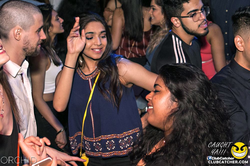 Orchid nightclub photo 130 - June 29th, 2019