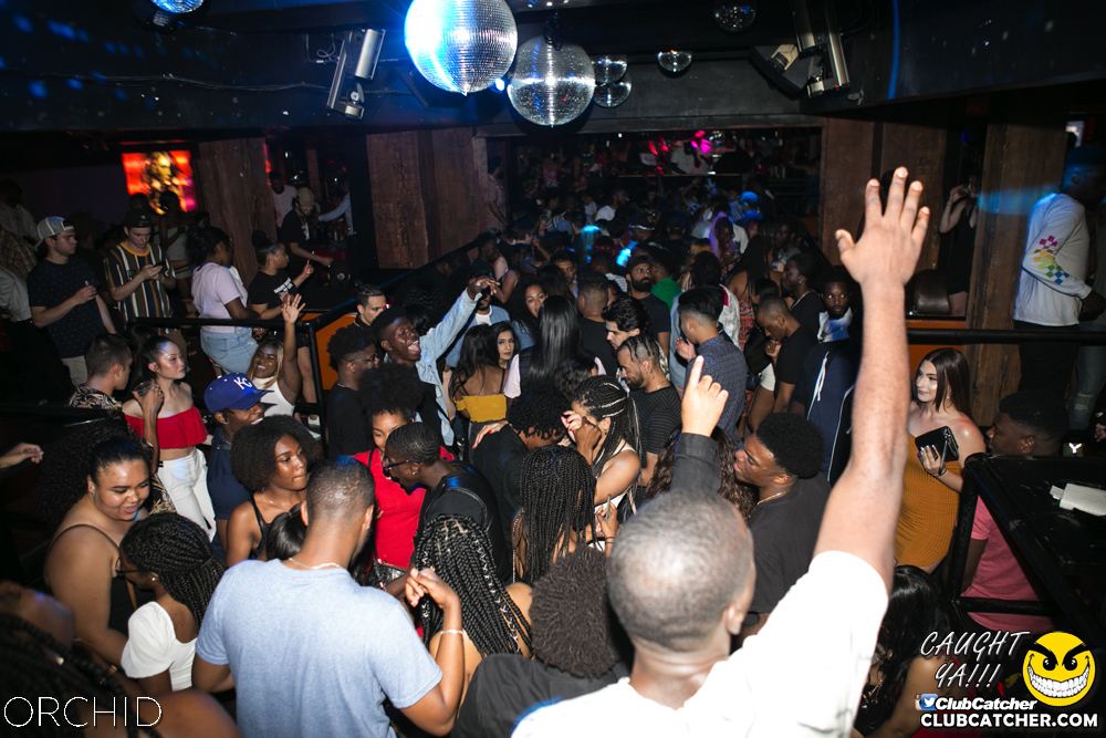 Orchid nightclub photo 14 - June 29th, 2019