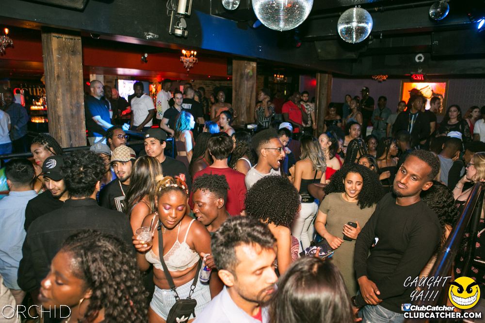 Orchid nightclub photo 131 - June 29th, 2019