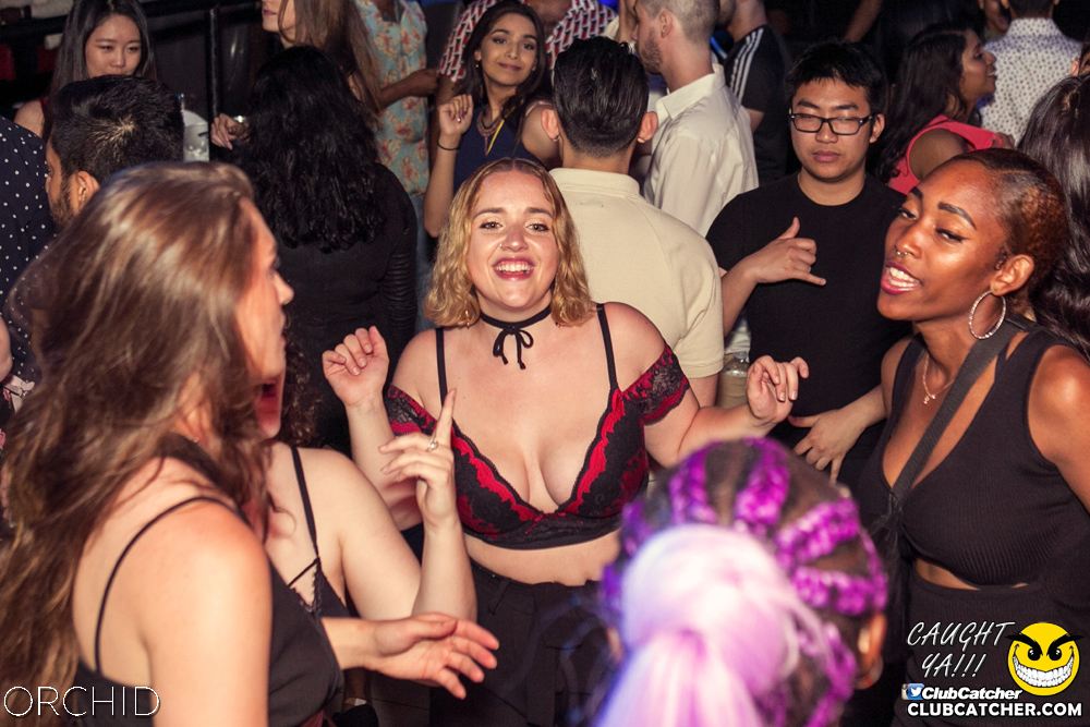 Orchid nightclub photo 132 - June 29th, 2019