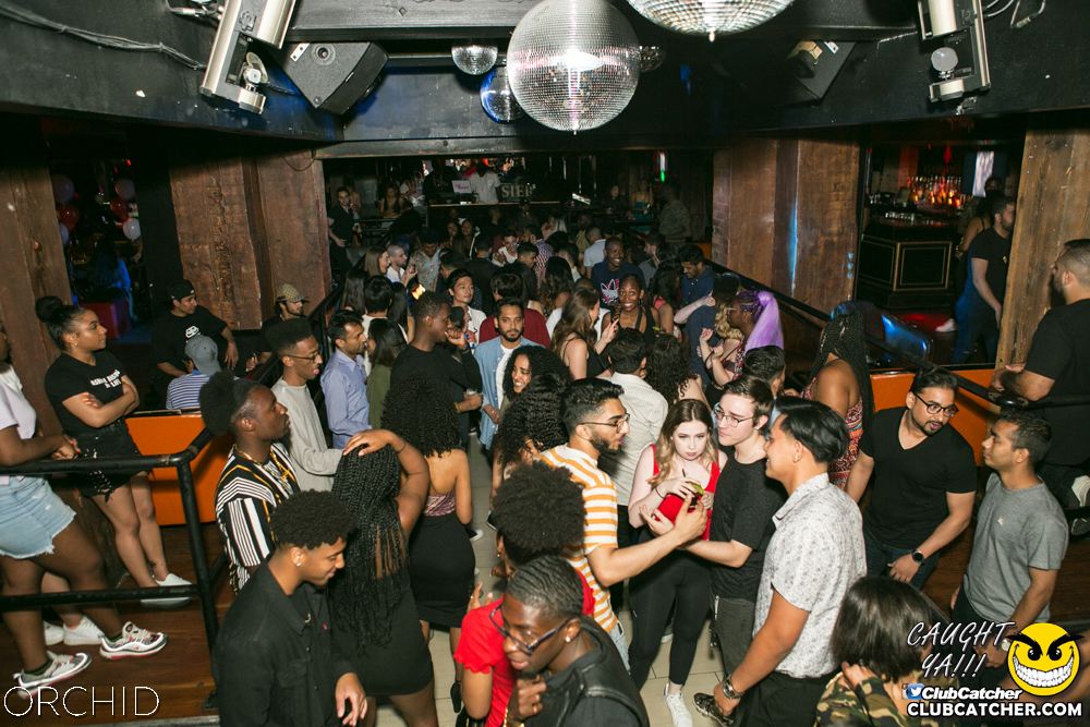Orchid nightclub photo 141 - June 29th, 2019