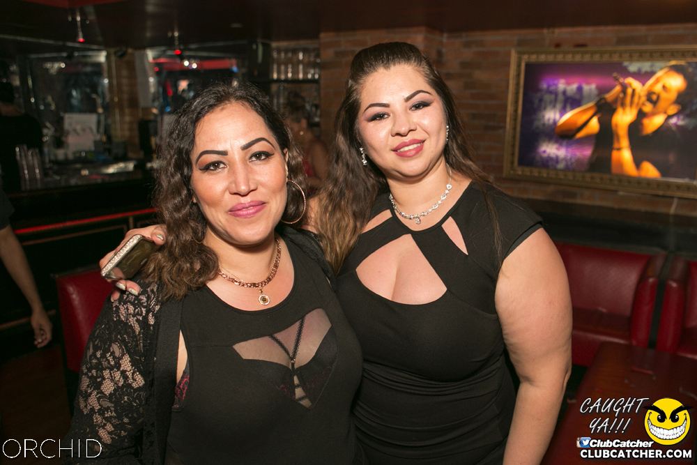 Orchid nightclub photo 142 - June 29th, 2019