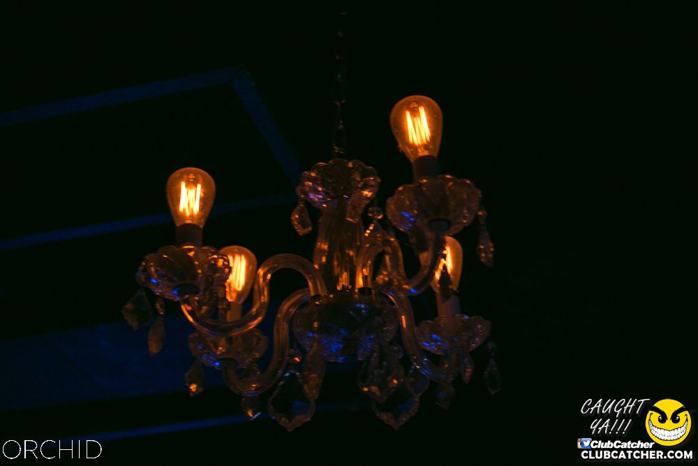 Orchid nightclub photo 149 - June 29th, 2019