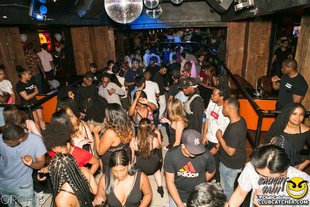 Orchid nightclub photo 150 - June 29th, 2019