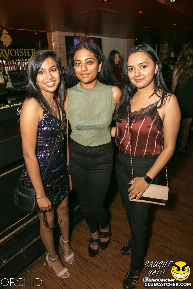 Orchid nightclub photo 16 - June 29th, 2019