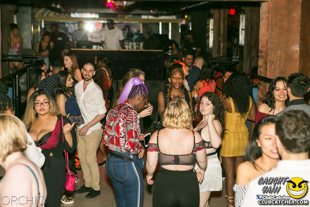 Orchid nightclub photo 151 - June 29th, 2019