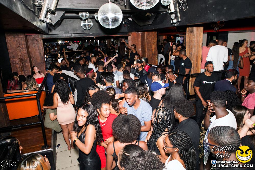 Orchid nightclub photo 153 - June 29th, 2019