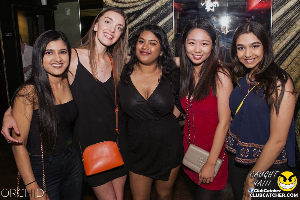 Orchid nightclub photo 17 - June 29th, 2019