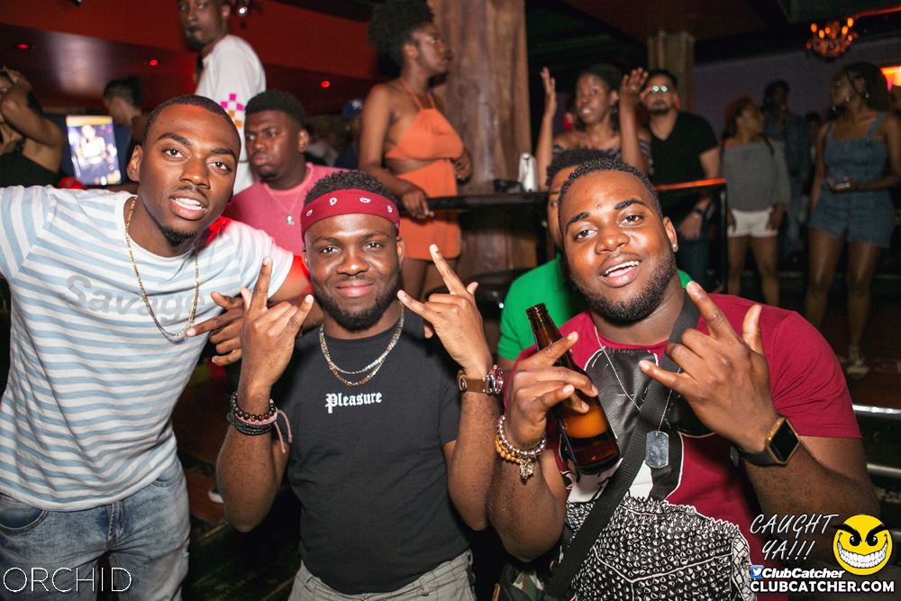 Orchid nightclub photo 19 - June 29th, 2019