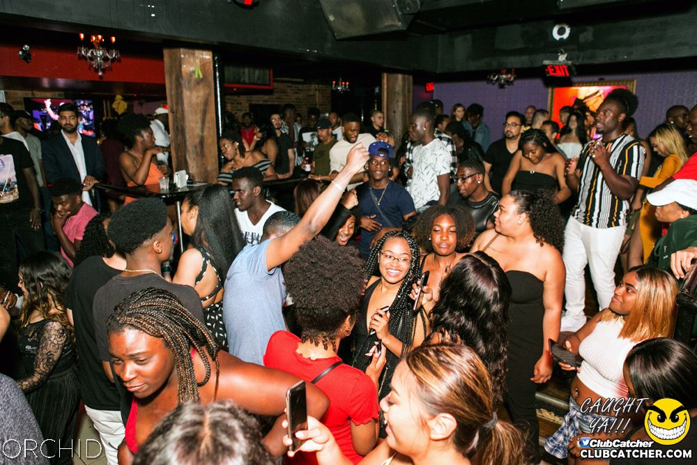 Orchid nightclub photo 24 - June 29th, 2019
