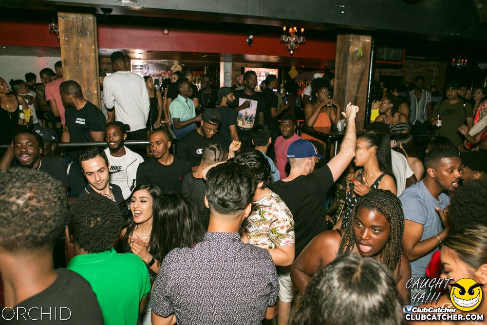 Orchid nightclub photo 30 - June 29th, 2019