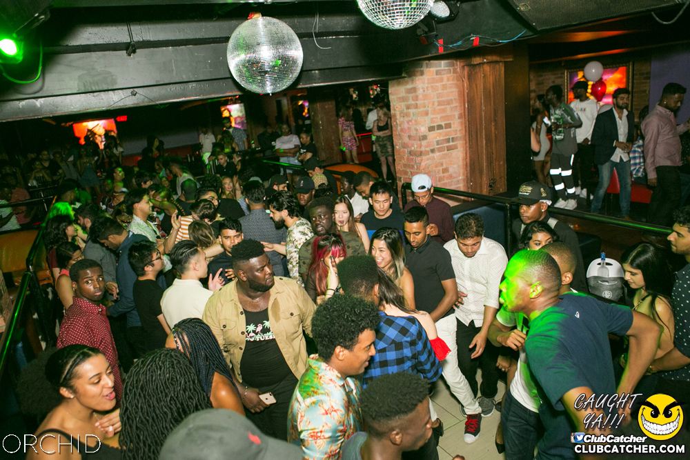 Orchid nightclub photo 35 - June 29th, 2019