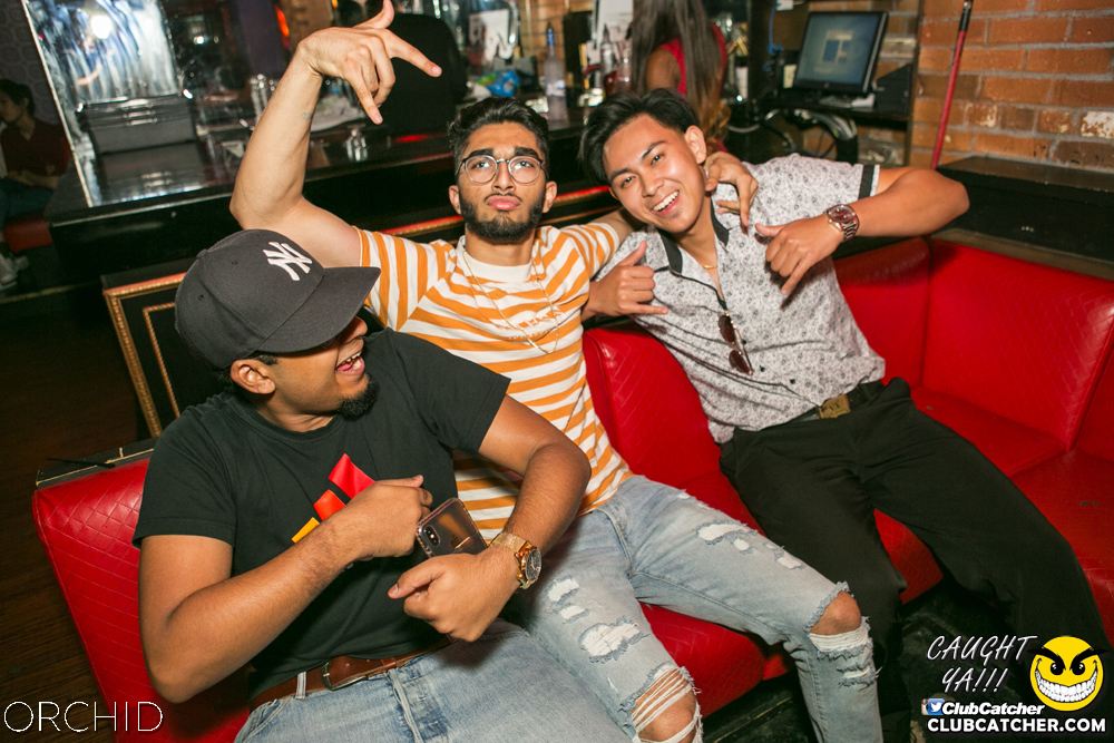 Orchid nightclub photo 40 - June 29th, 2019