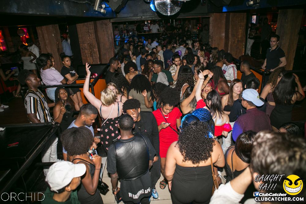 Orchid nightclub photo 43 - June 29th, 2019