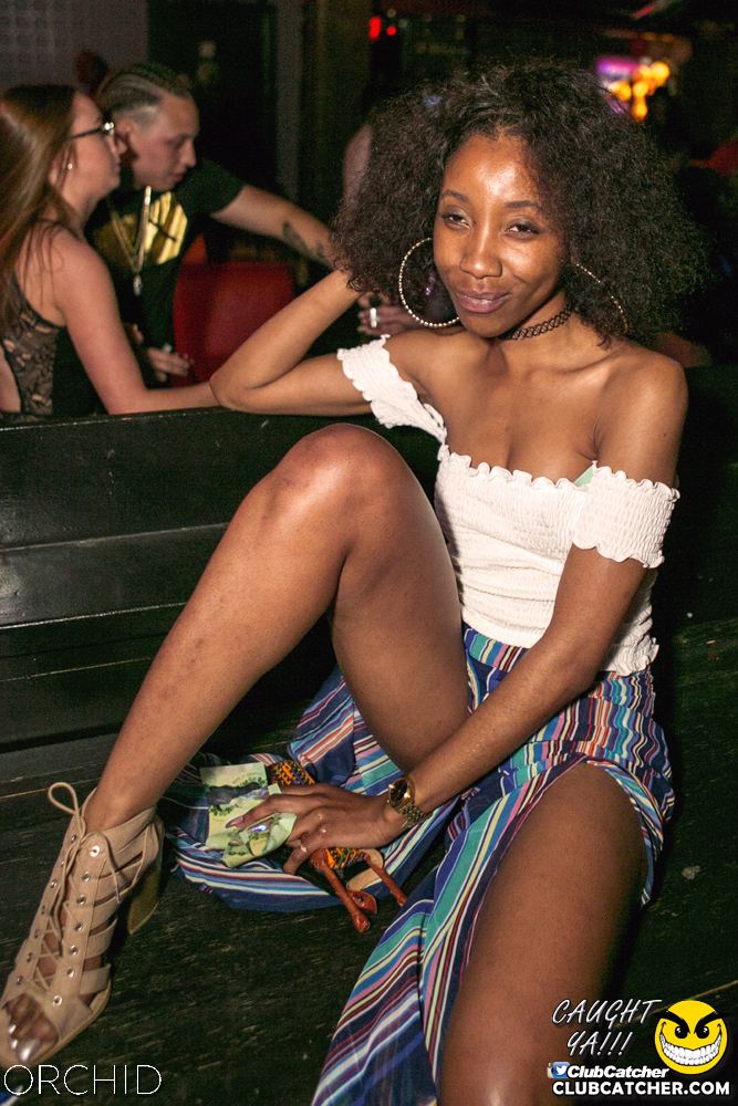 Orchid nightclub photo 45 - June 29th, 2019