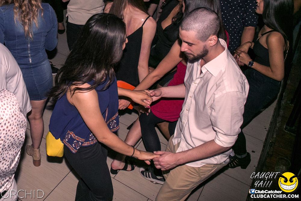 Orchid nightclub photo 46 - June 29th, 2019