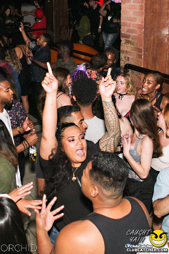 Orchid nightclub photo 47 - June 29th, 2019