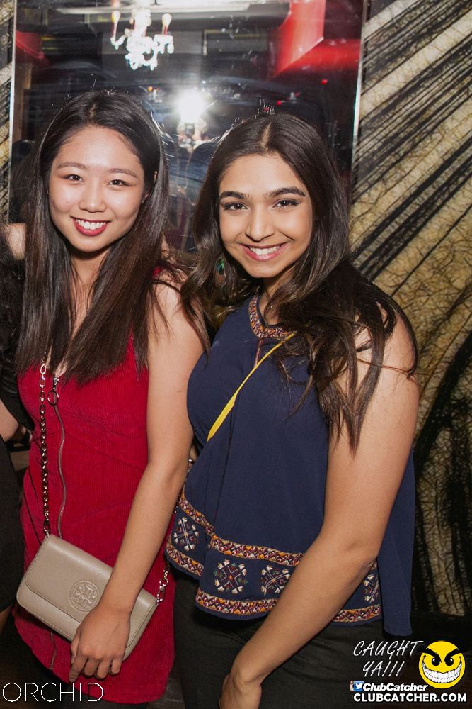 Orchid nightclub photo 48 - June 29th, 2019