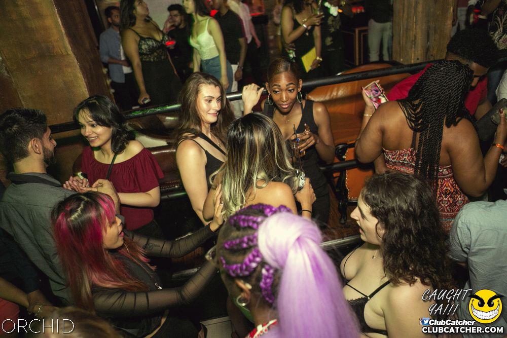 Orchid nightclub photo 52 - June 29th, 2019