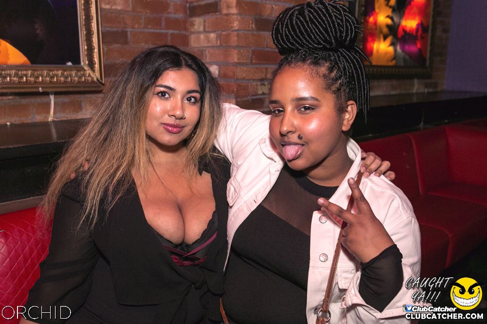 Orchid nightclub photo 54 - June 29th, 2019
