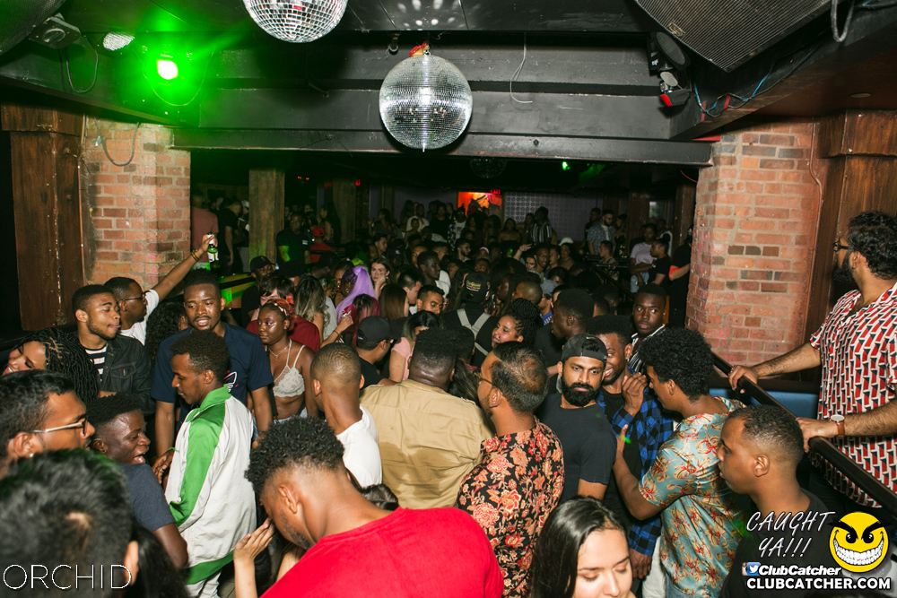 Orchid nightclub photo 59 - June 29th, 2019
