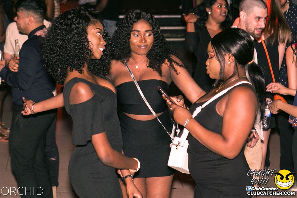 Orchid nightclub photo 60 - June 29th, 2019