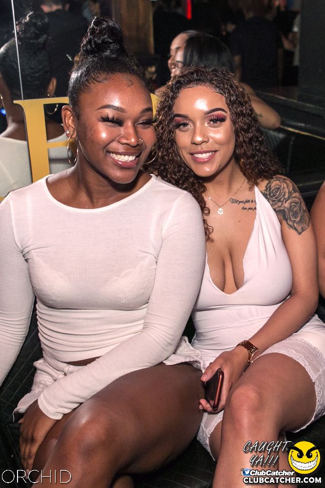 Orchid nightclub photo 67 - June 29th, 2019