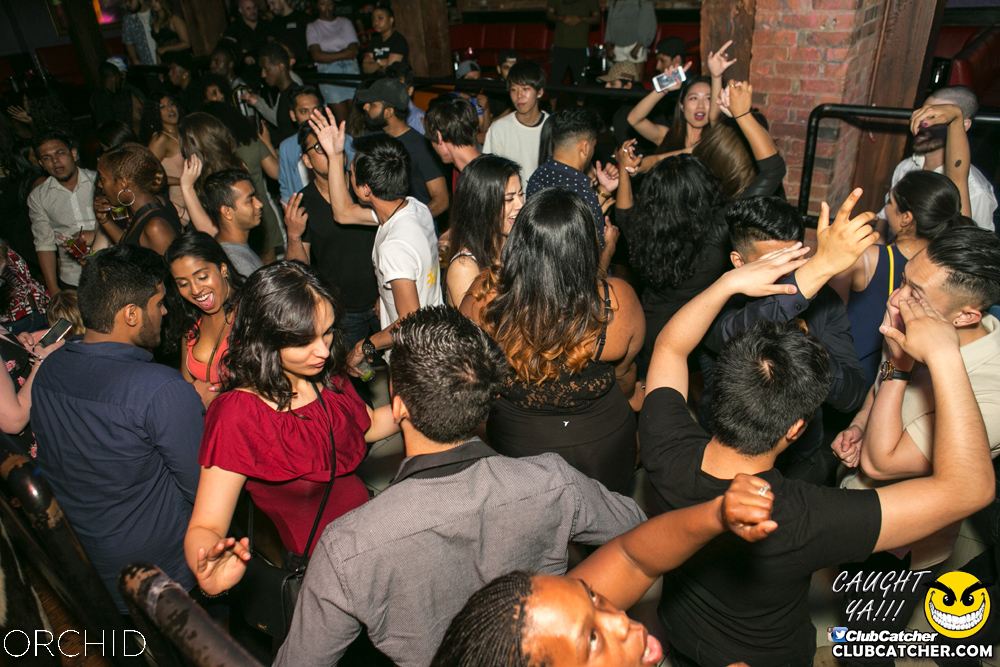 Orchid nightclub photo 68 - June 29th, 2019