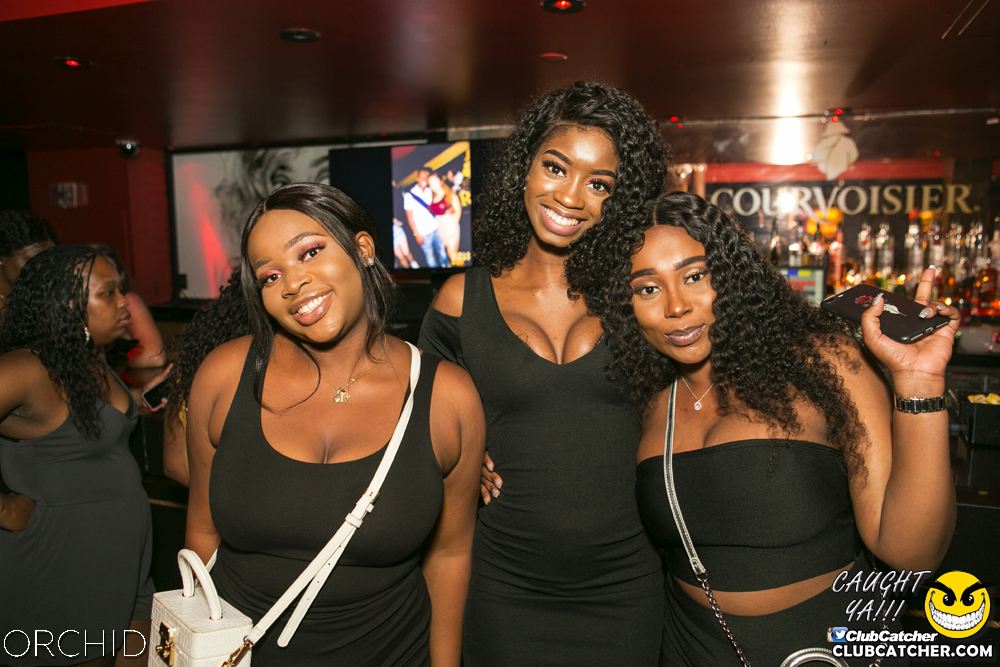 Orchid nightclub photo 71 - June 29th, 2019