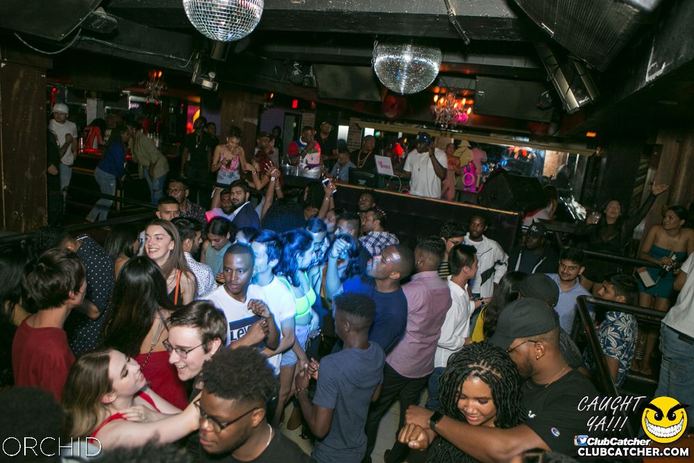 Orchid nightclub photo 73 - June 29th, 2019