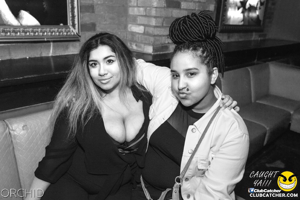 Orchid nightclub photo 77 - June 29th, 2019