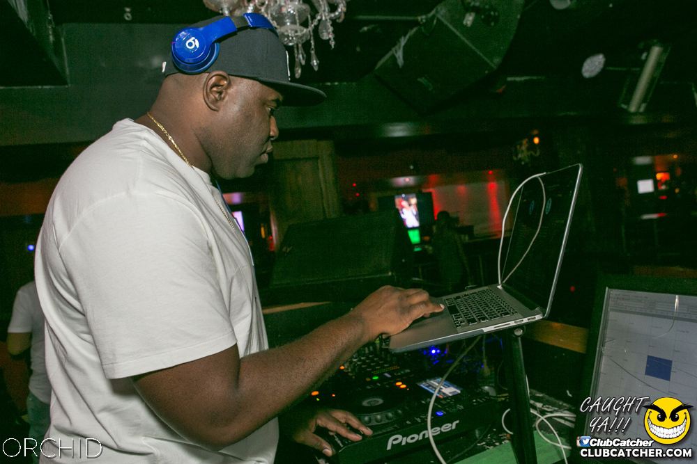 Orchid nightclub photo 78 - June 29th, 2019