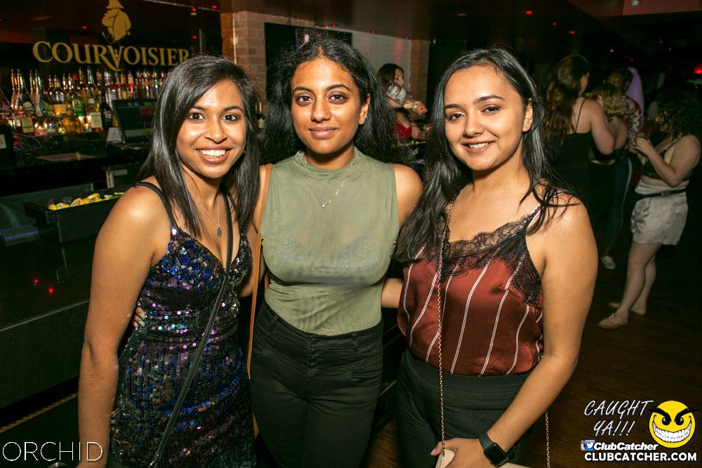 Orchid nightclub photo 81 - June 29th, 2019
