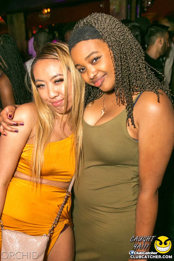 Orchid nightclub photo 84 - June 29th, 2019