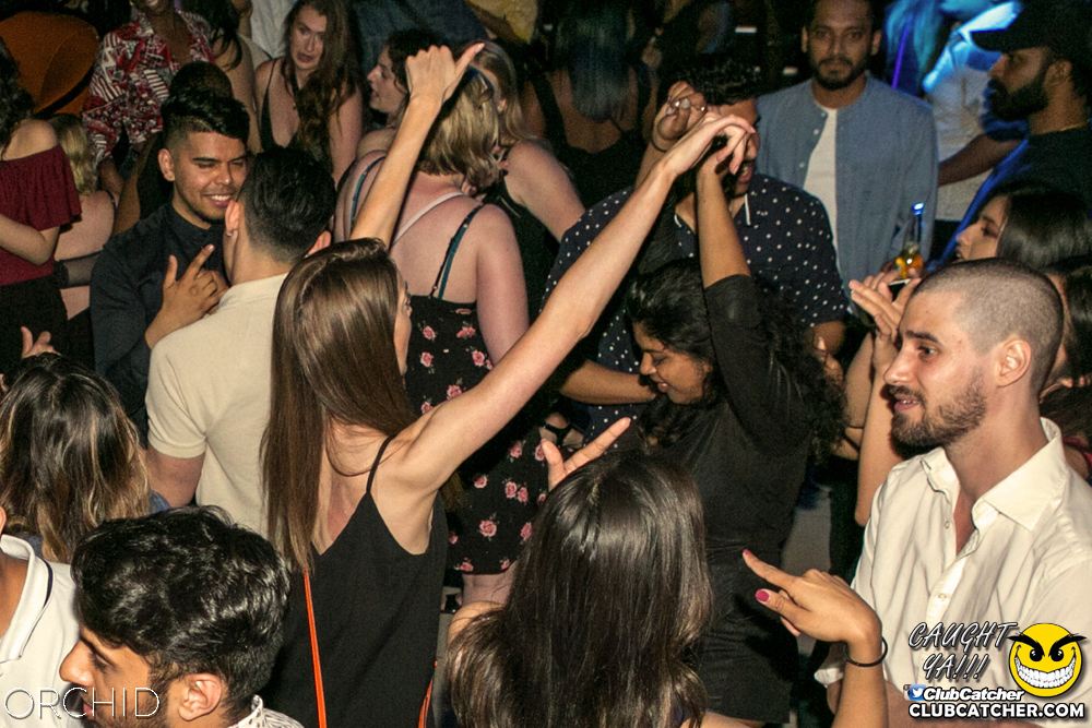 Orchid nightclub photo 87 - June 29th, 2019