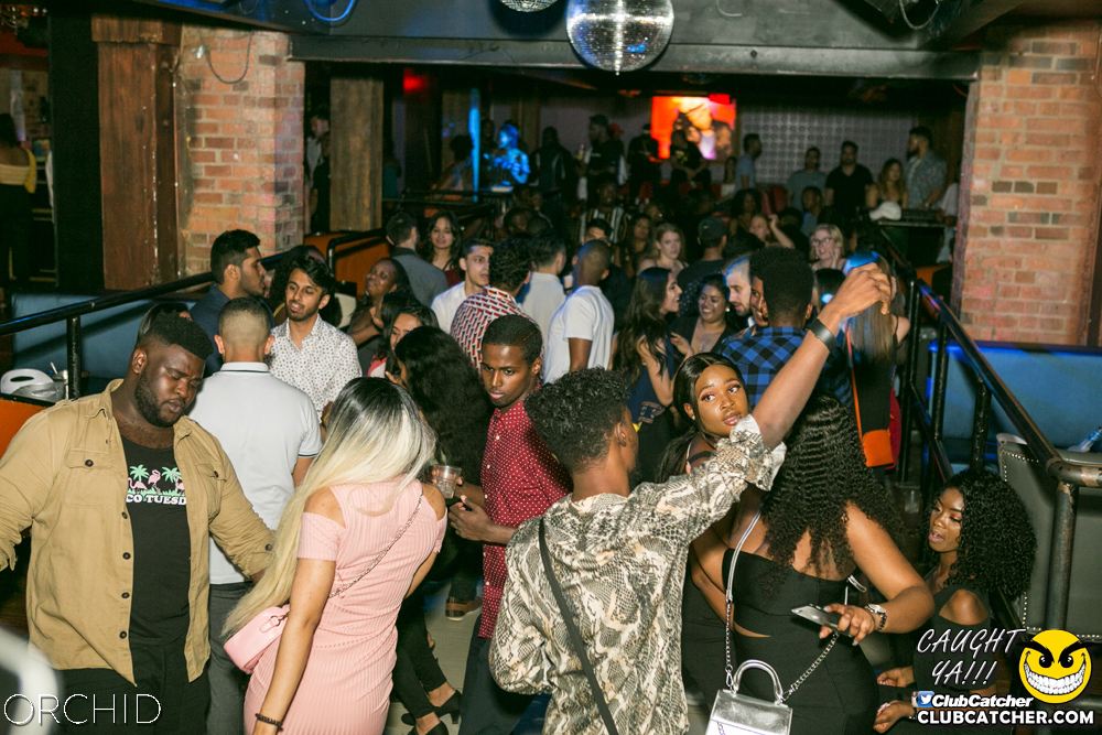 Orchid nightclub photo 88 - June 29th, 2019