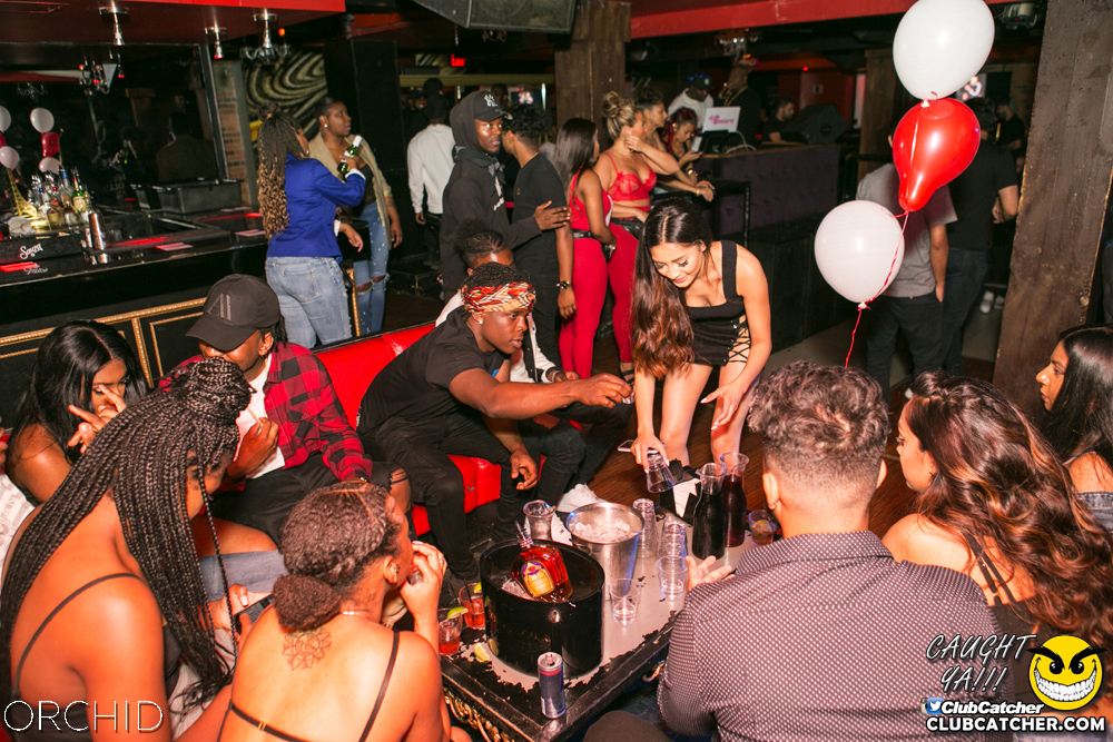 Orchid nightclub photo 90 - June 29th, 2019
