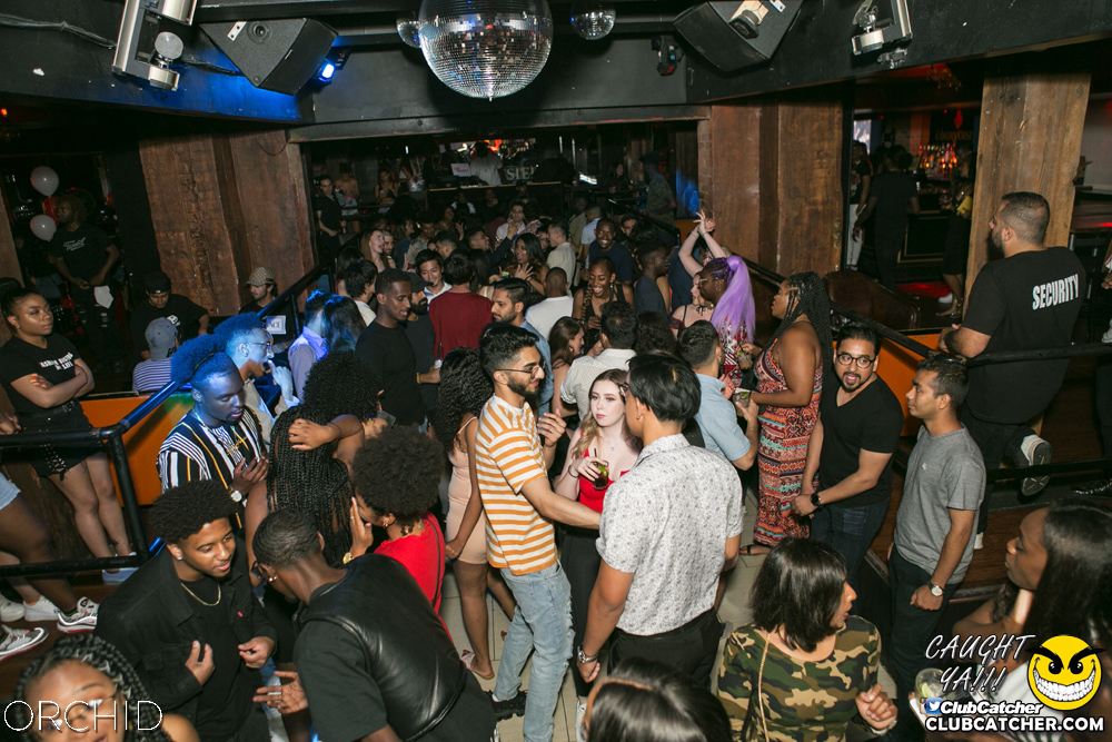 Orchid nightclub photo 92 - June 29th, 2019