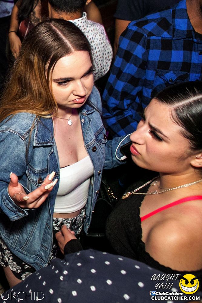 Orchid nightclub photo 94 - June 29th, 2019