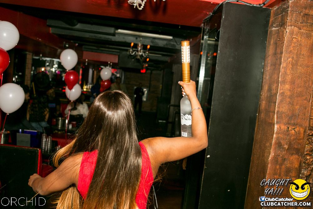 Orchid nightclub photo 96 - June 29th, 2019