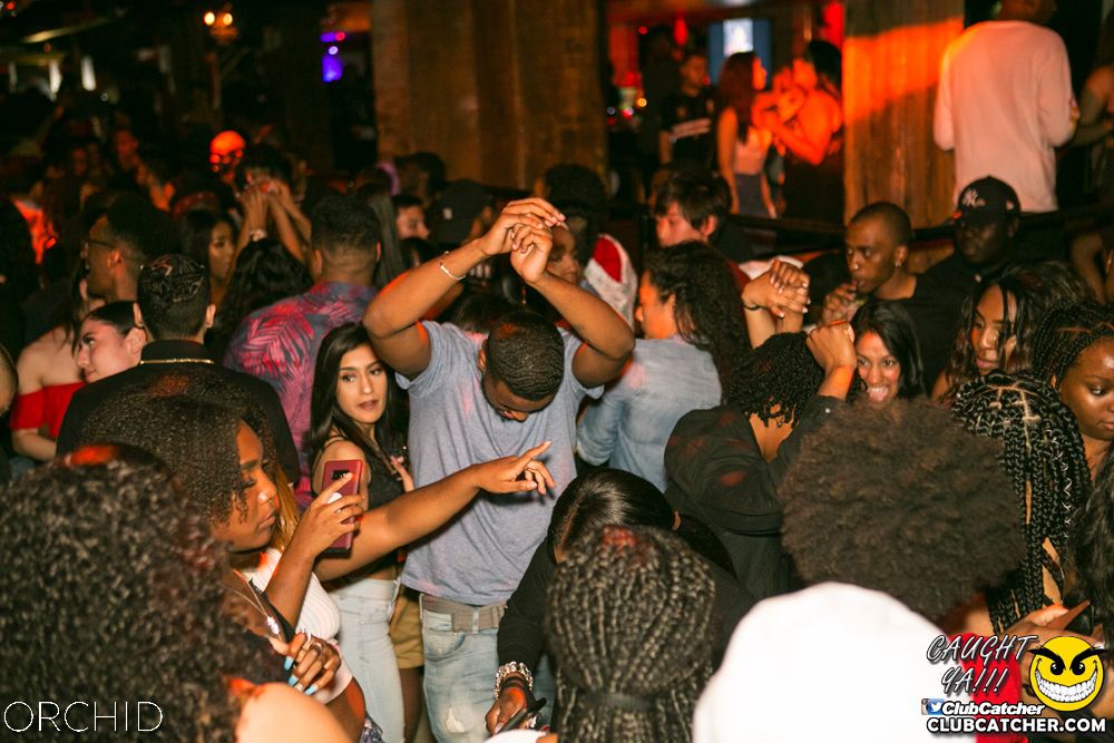 Orchid nightclub photo 99 - June 29th, 2019